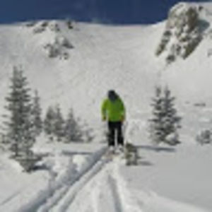 Meet your Posher, Cameron